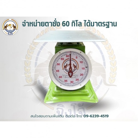 จำหน่ายตาชั่ง 60 กิโล จำหน่ายตาชั่ง 60 กิโล